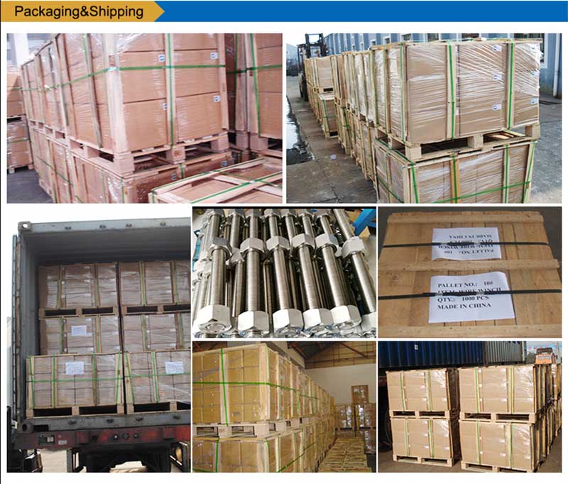 Ανοξείδωτα-Λίστα-Βίδες-Βίδα-Συσσωρευτή-συσκευασίας